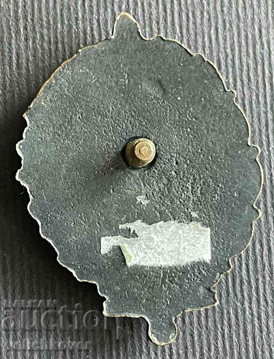 35800 Bulgaria insignia BB Internal Troops 90s. with price 10.00 BGN | € 5.11