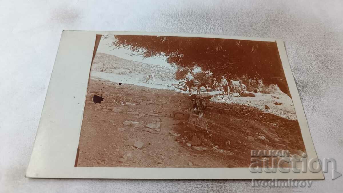 Foto Om și cai la o groapă de apă