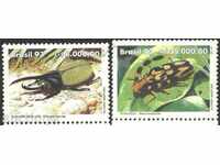 Чисти марки  Фауна, Насекоми Бръмбари 1993 от Бразилия