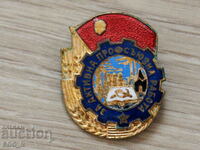 Badge For Active Trade Union Work bronze enamel (EA1)