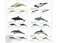 Clean Blocks Fauna Dolphins 2015 din Tongo