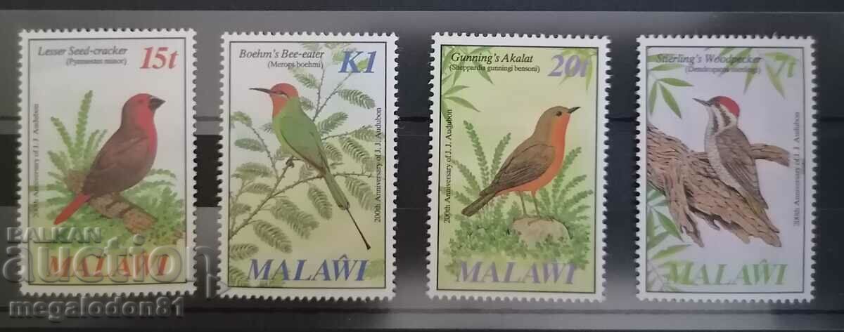 Малави - фауна , птици