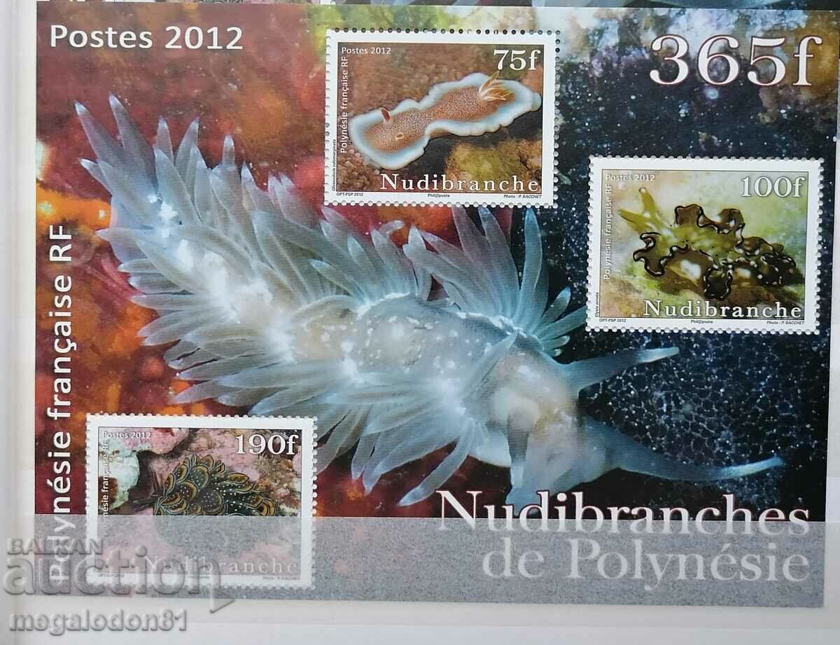 French Polynesia - oceanic fauna, molluscs