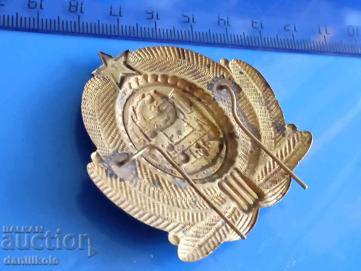 *$*Y*$* SOC. BJ FEED BOW - EXCELLENT *$*Y*$* - 6 *$*Y*$* SOC. BJ FEED BOW - EXCELLENT *$*Y*$* - 6