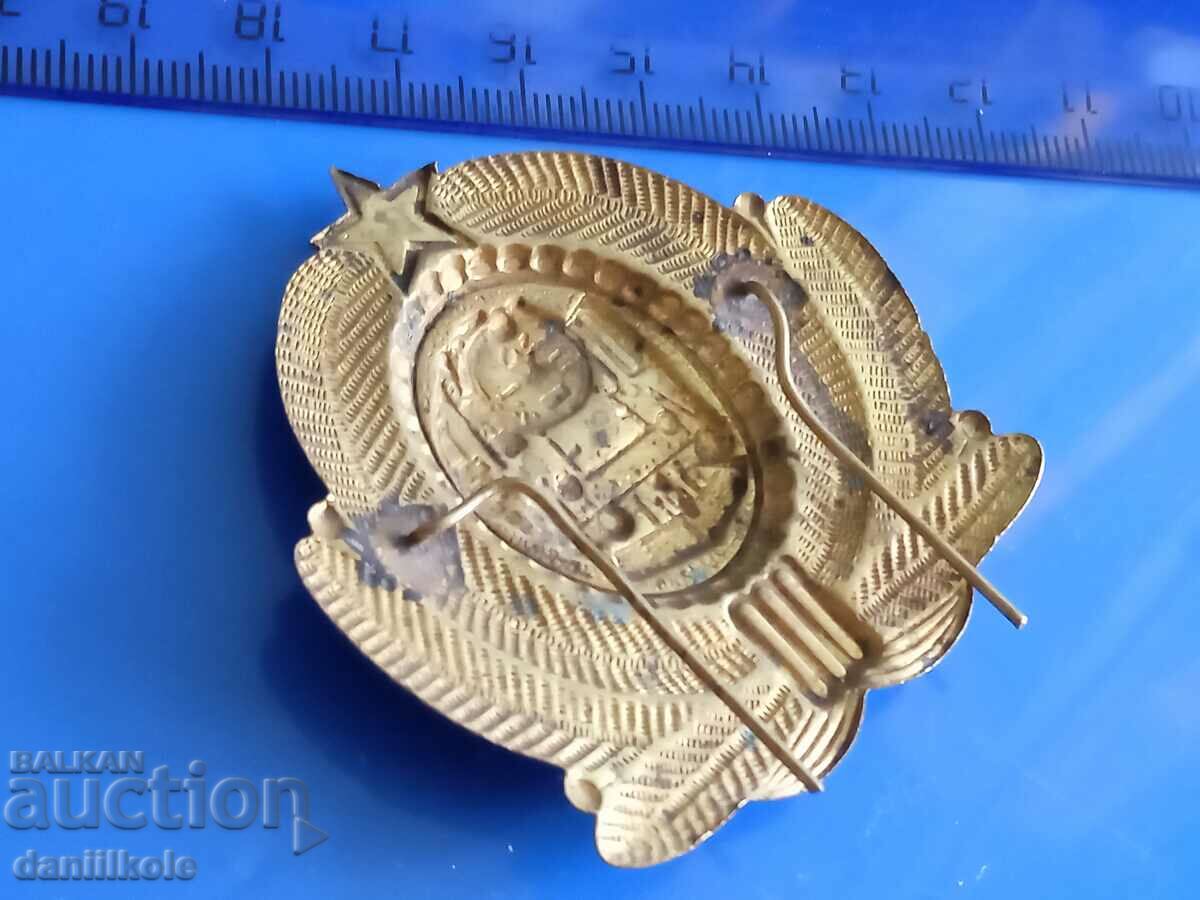 *$*Y*$* SOC. BJ FEED BOW - EXCELLENT *$*Y*$* - 7 *$*Y*$* SOC. BJ FEED BOW - EXCELLENT *$*Y*$* - 7