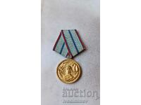Medal For 20 years of impeccable service in the armed forces of the NRB