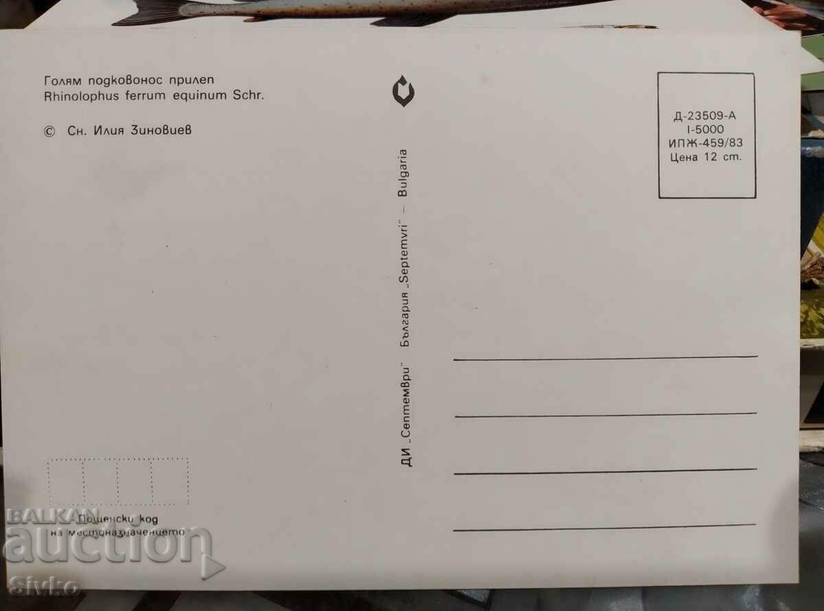 Bat card 1 with price 0.49 BGN | € 0.25 Bat card 1 with price 0.49 BGN | € 0.25