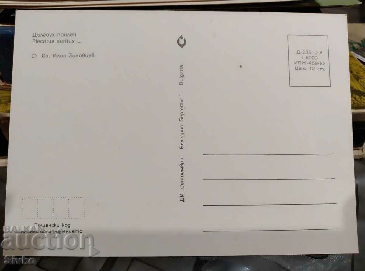 Bat card 2 with price 0.49 BGN | € 0.25 Bat card 2 with price 0.49 BGN | € 0.25