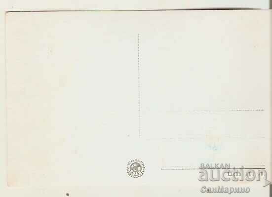 Card Bulgaria Pazardzhik General view* with price 3.60 BGN | € 1.84 Card Bulgaria Pazardzhik General view* with price 3.60 BGN | € 1.84