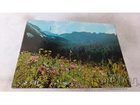 Postcard Pirin Cut from the mountain 1980