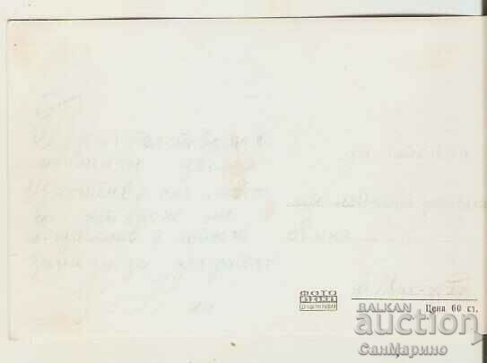 Map Bulgaria Mihailovgrad General view 1* with price 2.20 BGN | € 1.12 Map Bulgaria Mihailovgrad General view 1* with price 2.20 BGN | € 1.12