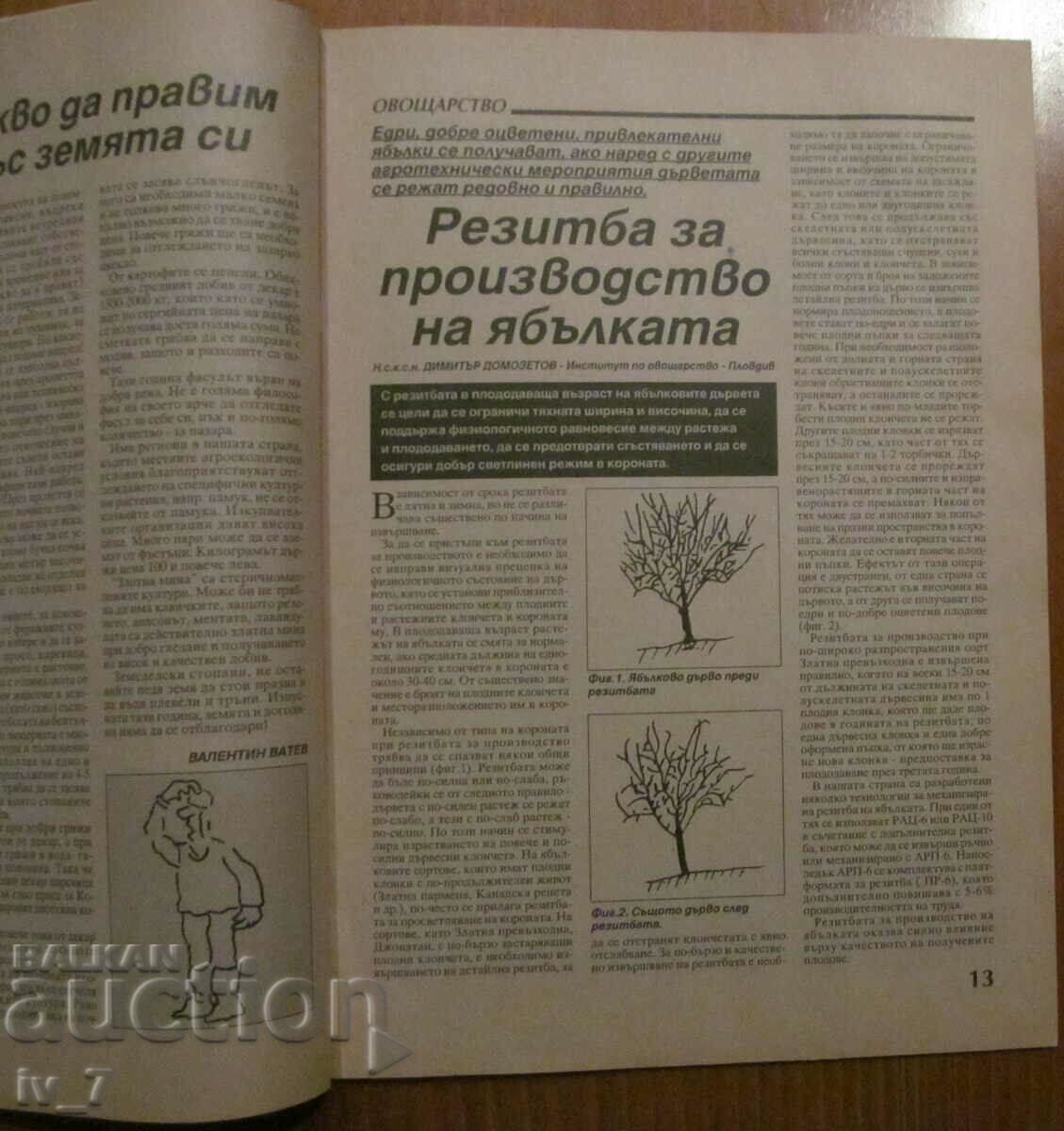 AGRICULTURE MAGAZINE - ISSUE 3, 1995 - 6 AGRICULTURE MAGAZINE - ISSUE 3, 1995 - 6