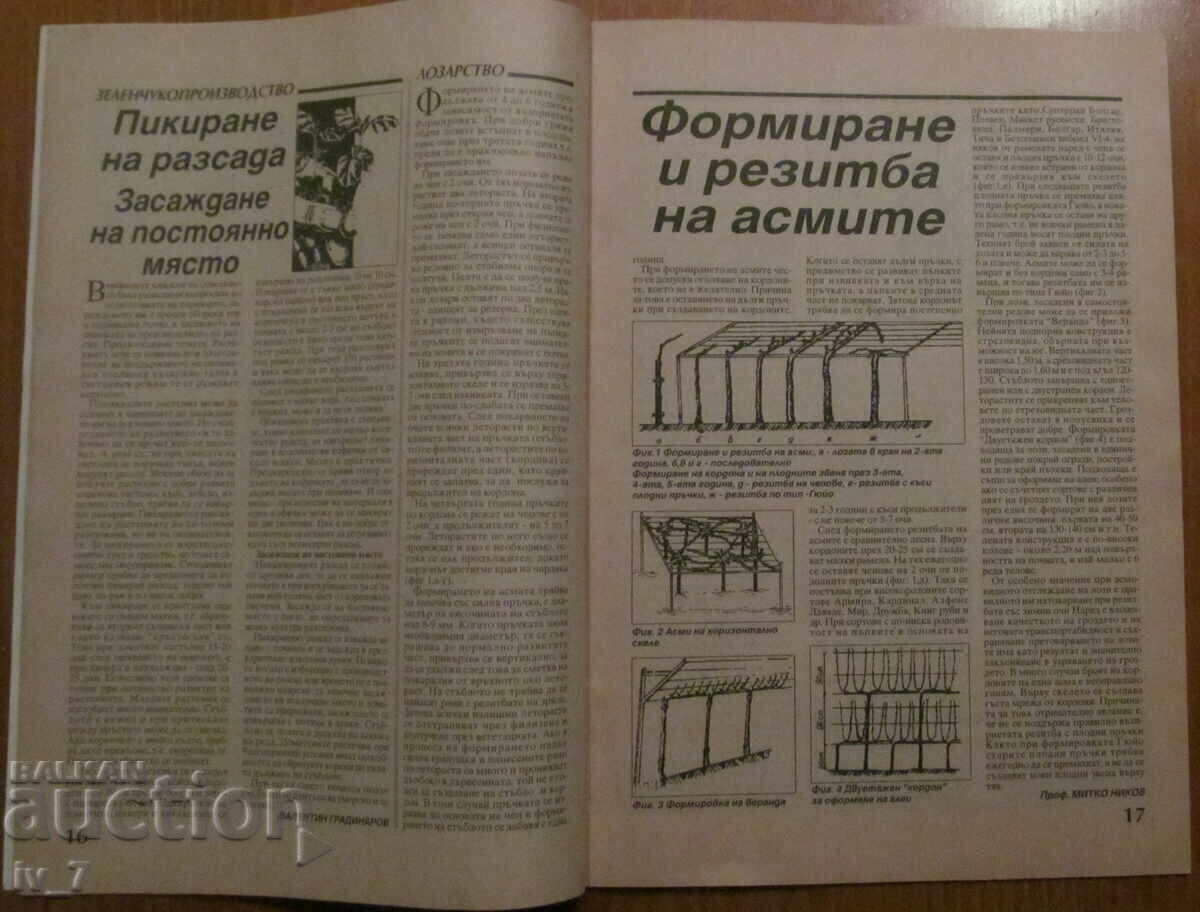 AGRICULTURE MAGAZINE - ISSUE 3, 1995 - 7 AGRICULTURE MAGAZINE - ISSUE 3, 1995 - 7