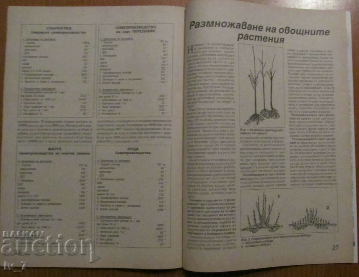 "AGRICULTURE" MAGAZINE - ISSUE 4, 1995 - 5 "AGRICULTURE" MAGAZINE - ISSUE 4, 1995 - 5