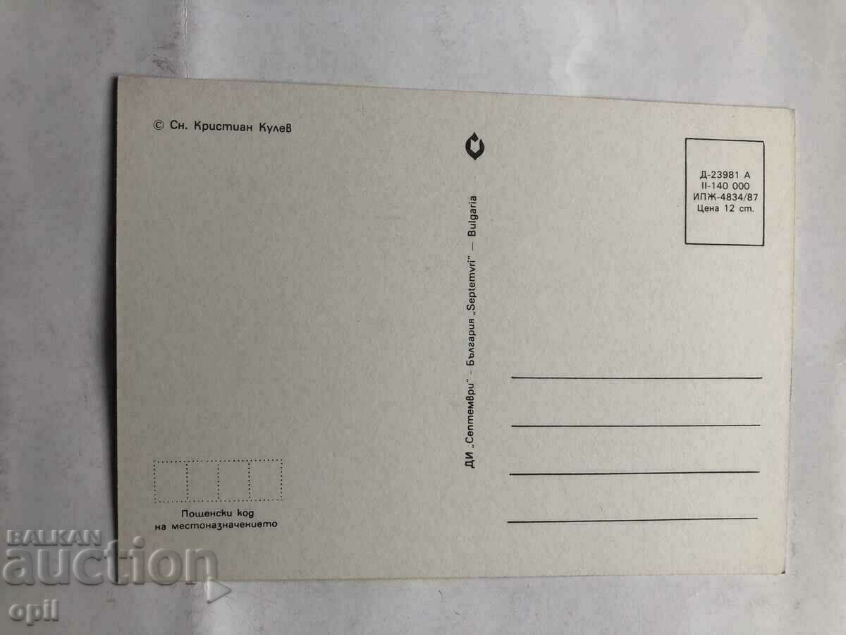 Postal Cat with price 1.50 BGN | € 0.77 Postal Cat with price 1.50 BGN | € 0.77