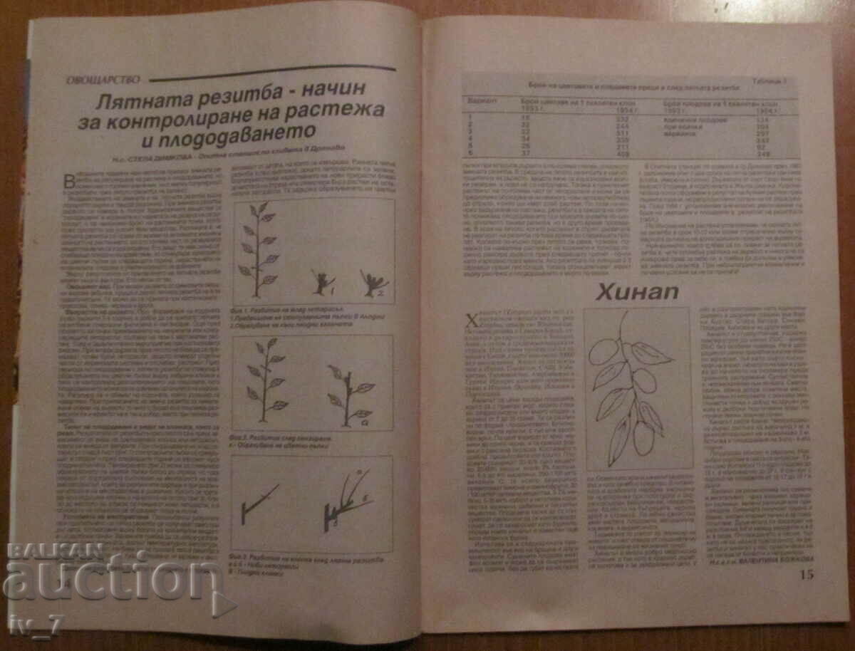 Auction AGRICULTURE MAGAZINE - ISSUE 7, 1995 Auction AGRICULTURE MAGAZINE - ISSUE 7, 1995