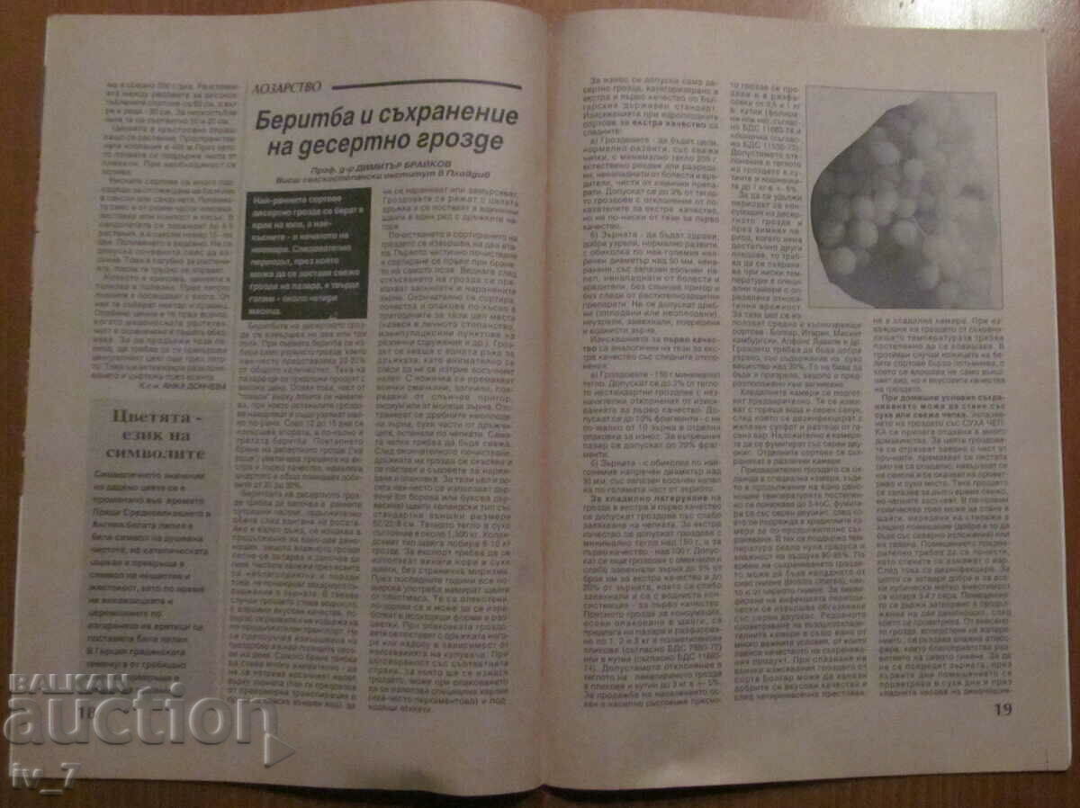 AGRICULTURE MAGAZINE - ISSUE 7, 1995 - 5 AGRICULTURE MAGAZINE - ISSUE 7, 1995 - 5