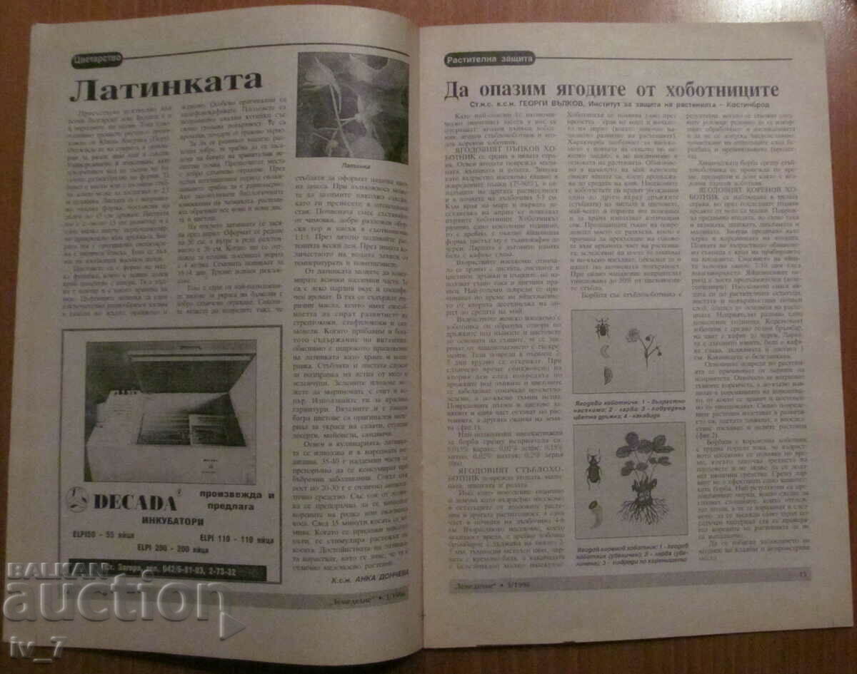 "AGRICULTURE" MAGAZINE - ISSUE 3, 1996 - 5 "AGRICULTURE" MAGAZINE - ISSUE 3, 1996 - 5