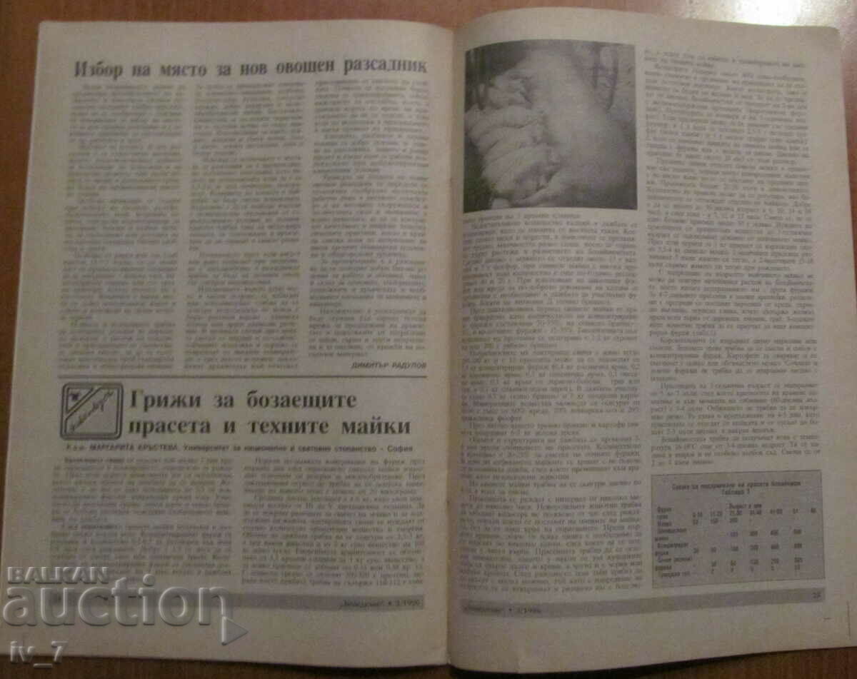 "AGRICULTURE" MAGAZINE - ISSUE 3, 1996 - 6 "AGRICULTURE" MAGAZINE - ISSUE 3, 1996 - 6