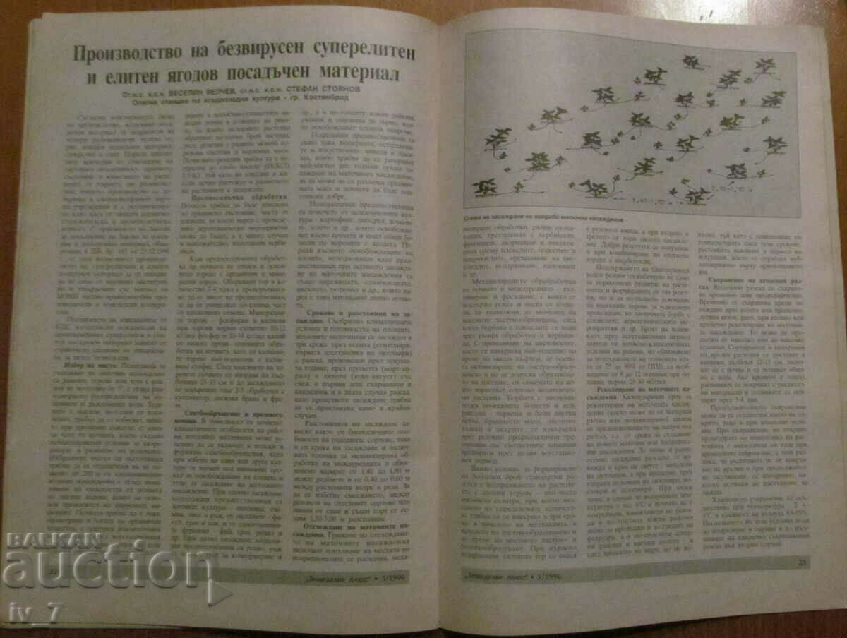 AGRICULTURE MAGAZINE - ISSUE 5, 1996 - 6 AGRICULTURE MAGAZINE - ISSUE 5, 1996 - 6