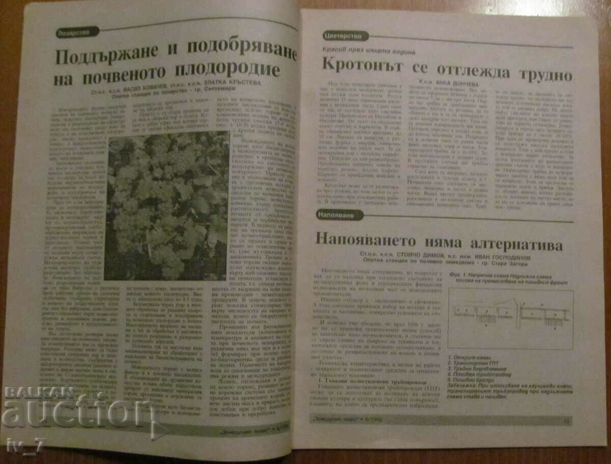 Auction AGRICULTURE MAGAZINE - ISSUE 6, 1996 Auction AGRICULTURE MAGAZINE - ISSUE 6, 1996