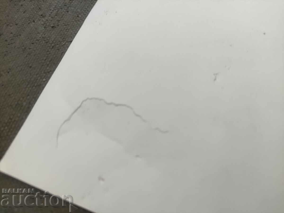 Katya Popova autograph - 5 Katya Popova autograph - 5