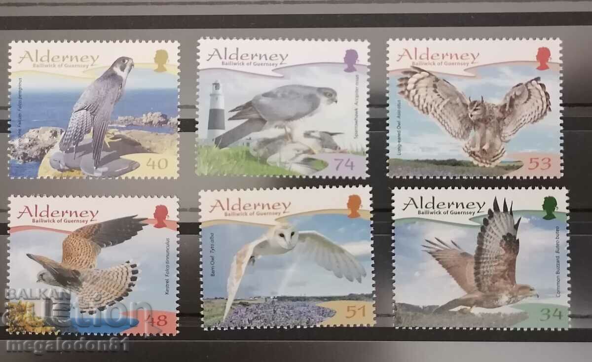 Alderney (Marea Britanie) - păsări de pradă