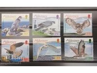 Alderney (Marea Britanie) - păsări de pradă