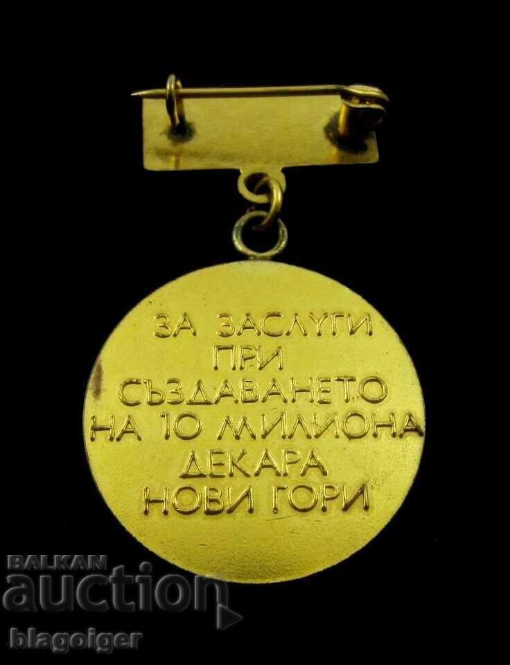 Auction FOR THE CREATION OF NEW FORESTS - A RARE SIGN - SOC Auction FOR THE CREATION OF NEW FORESTS - A RARE SIGN - SOC