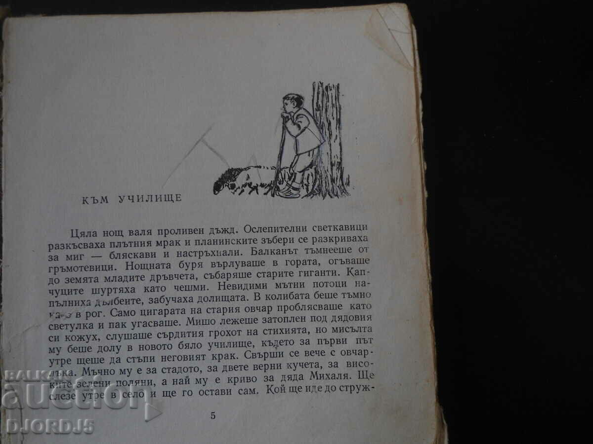 A warm glove, Angel Karaliychev with price 5.00 BGN | € 2.56