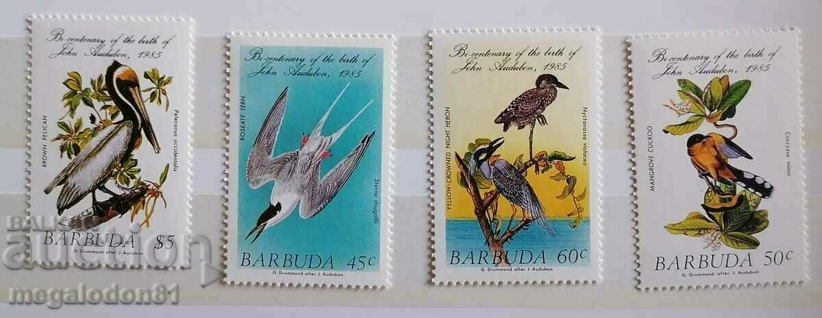 Μπαρμπούντα - πανίδα, πουλιά