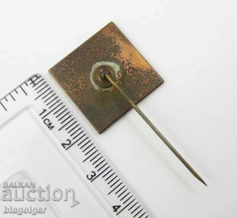 Auction Olympic Badge - Poland Olympic Team for Lake Placid Auction Olympic Badge - Poland Olympic Team for Lake Placid