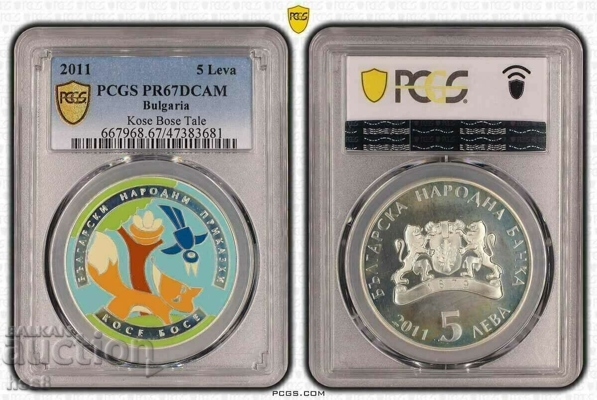 BGN 5, 2011. Kose Bose. BGN 5, 2011. Kose Bose.