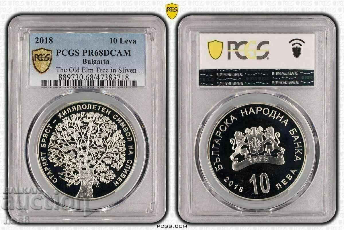 10 BGN 2018. Old Elm. 10 BGN 2018. Old Elm.