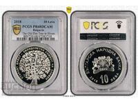 BGN 10, 2018. Old Elm.