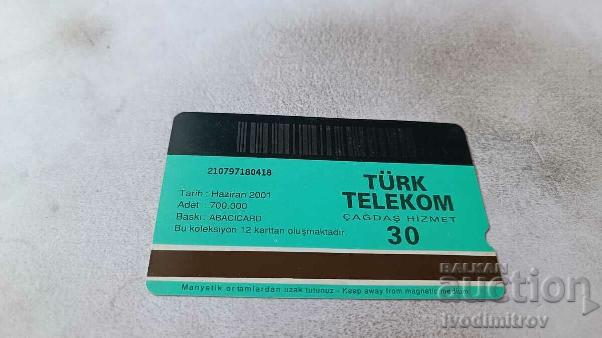 Turk Telekom Amerikan Kartali phono card with price 0.95 BGN | € 0.49 Turk Telekom Amerikan Kartali phono card with price 0.95 BGN | € 0.49