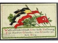 3792 Germania patriotism PSV steagurile țărilor aliate