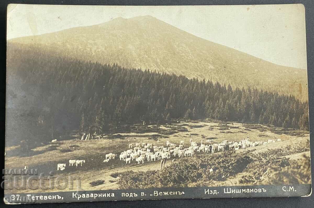 3810 Βασίλειο της Βουλγαρίας Το Teteven βυθίζεται κάτω από το όρος Vezhen 1929