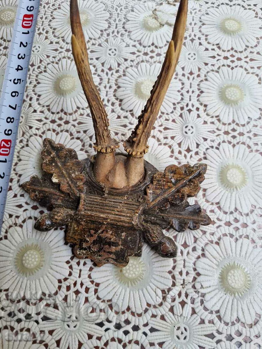 An old trophy. Horns