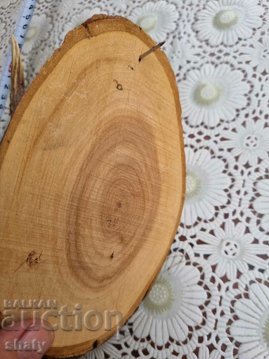 An old trophy. Horns - 5