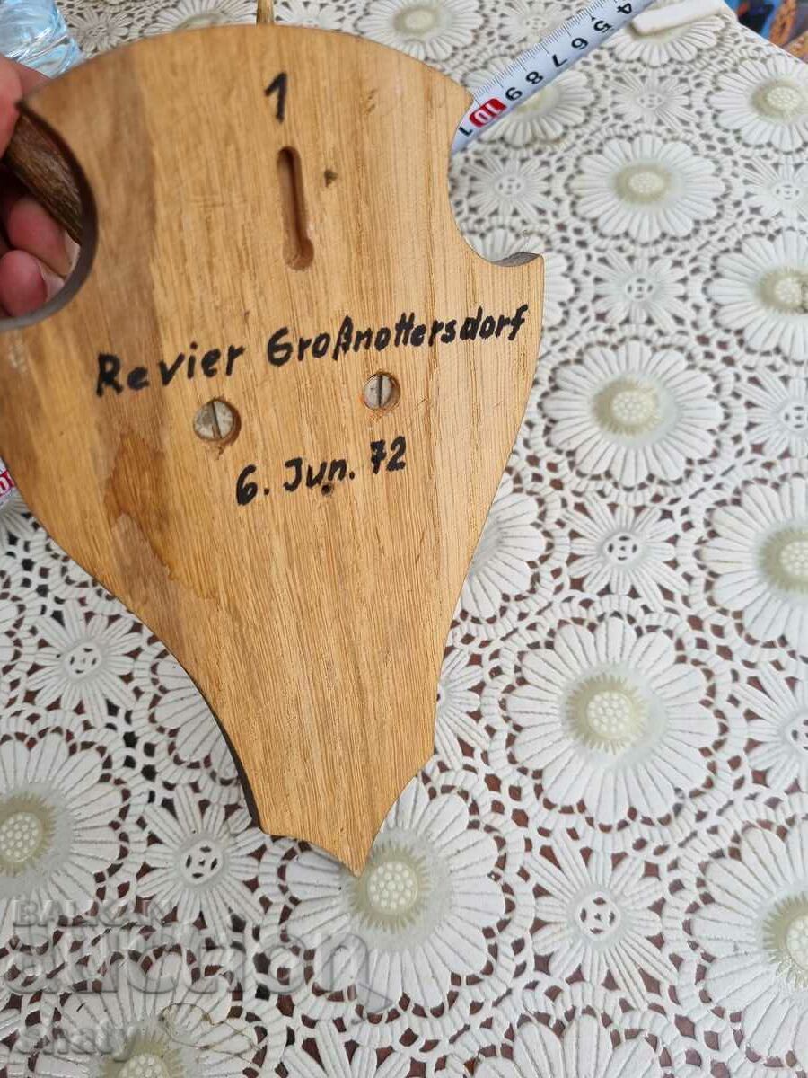 Delivery of An old trophy. Horns