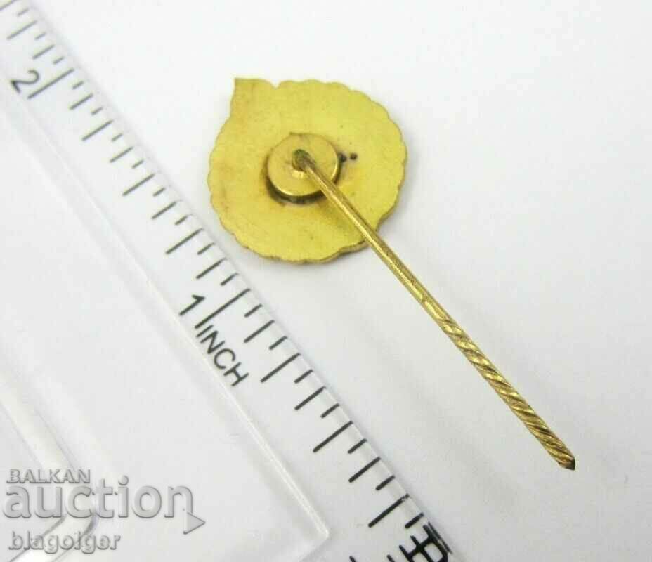 Auction Old Badge-Wrestling Federation-Portugal-Email Auction Old Badge-Wrestling Federation-Portugal-Email