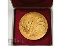 Table medal 30 years BULGARIAN MINT 1952 -1982