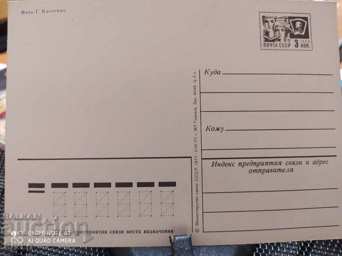 Card CHRD bouquet of roses with price 0.49 BGN | € 0.25 Card CHRD bouquet of roses with price 0.49 BGN | € 0.25