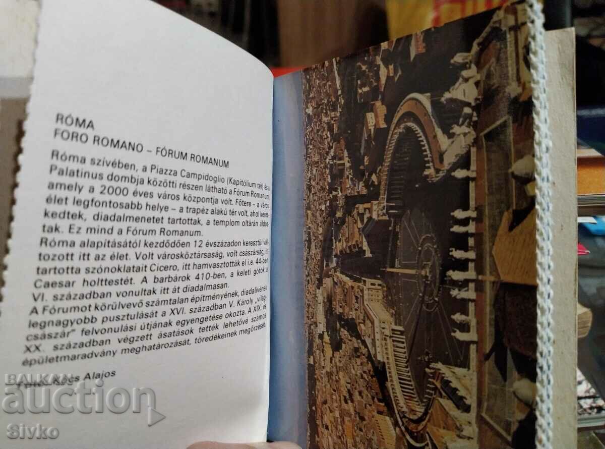 Auction  Cards Italy