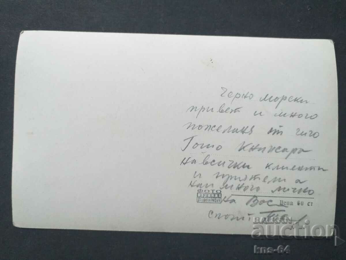 Kitten with price € 0.61 | 1.19 BGN Kitten with price € 0.61 | 1.19 BGN