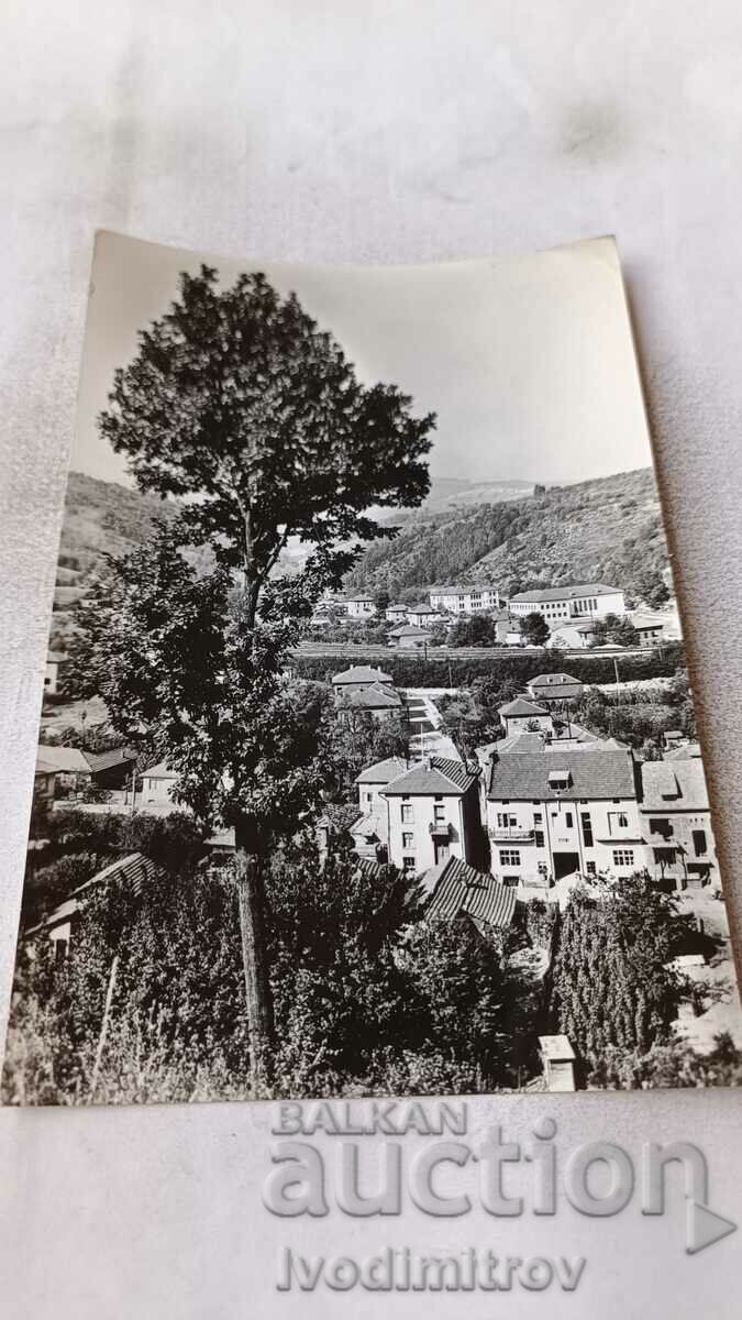 Postcard Plachkovci View 1961