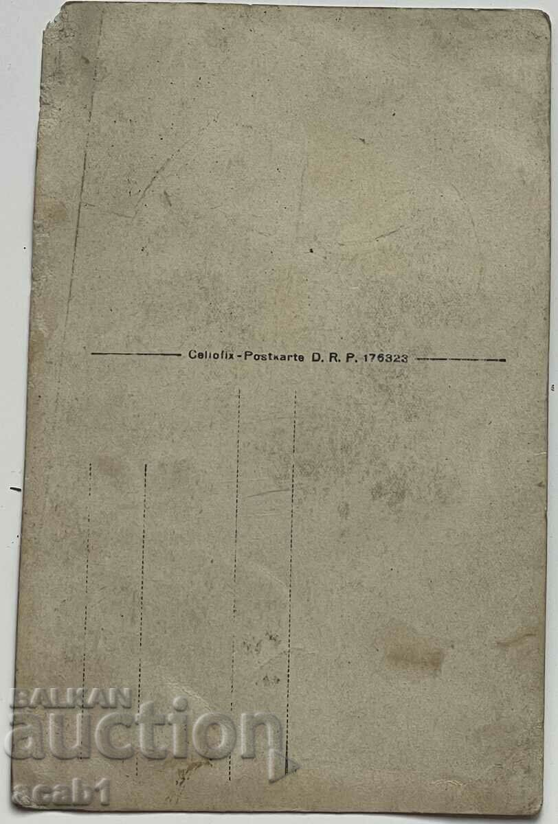 fetele Sofia cu preț 7.99 BGN | € 4.09 fetele Sofia cu preț 7.99 BGN | € 4.09