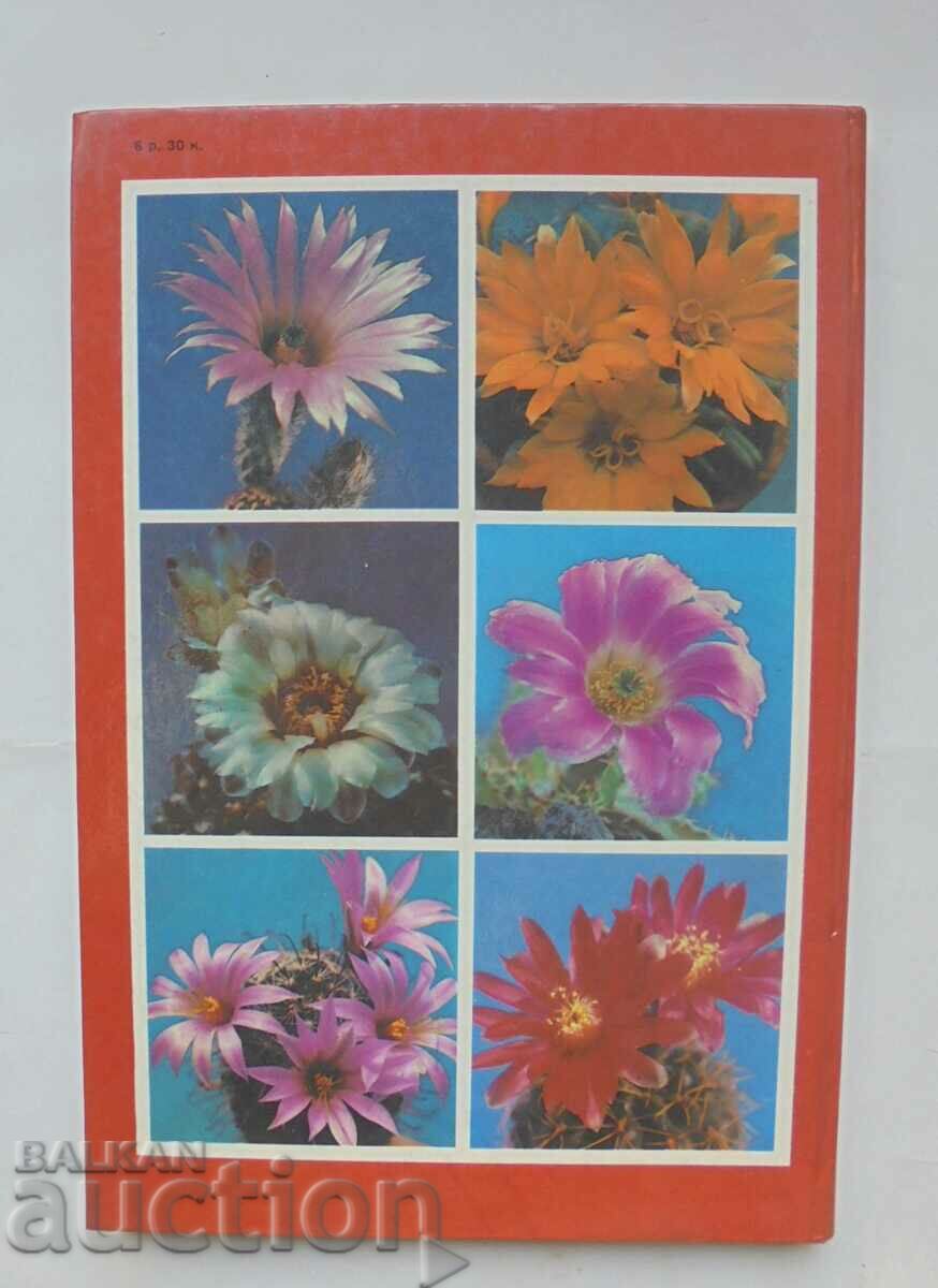 Кактусы - Д. Н. Широбокова и др. 1982 г. Кактуси - 7 Кактусы - Д. Н. Широбокова и др. 1982 г. Кактуси - 7