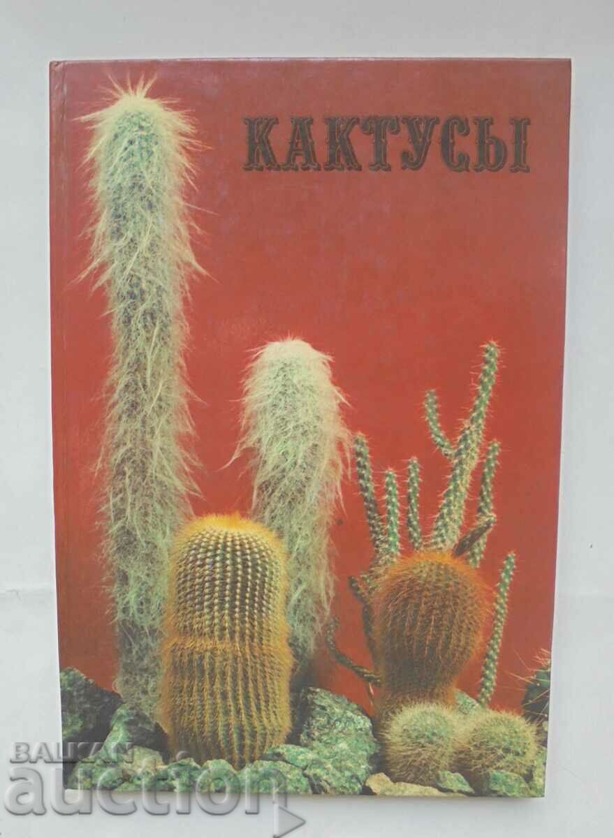 Cactuși - D. N. Shirobokova și alții. 1982. Cactusi